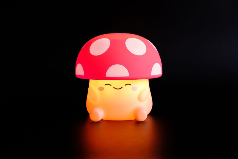 Mush Light