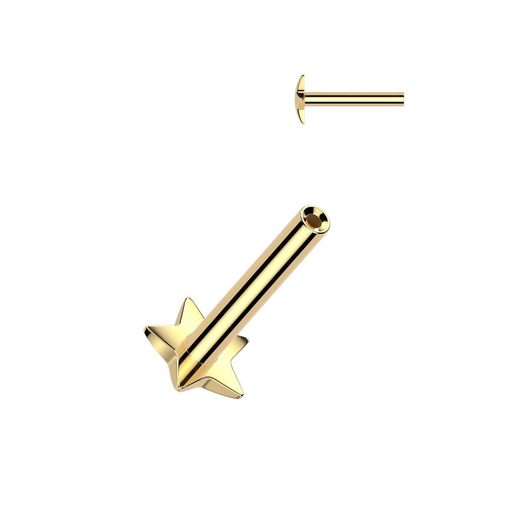 Implant Grade Titanium Threadless Push In Convex Star Base Labret Pin