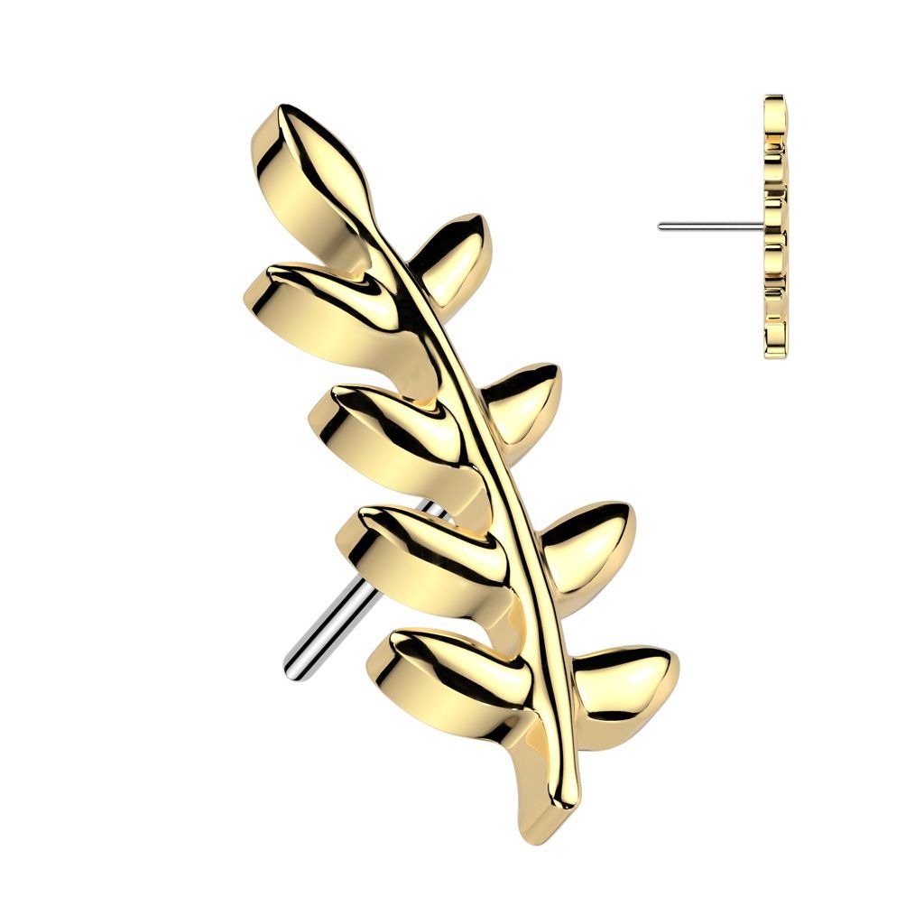 Implant Grade Titanium Threadless Push In Olive Leaf Top