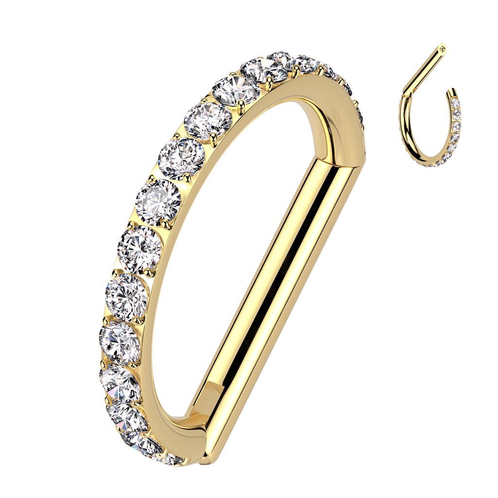 Implant Grade Titanium D Shaped Hinged Segment Ring With Outward Facing CNC CZ Set