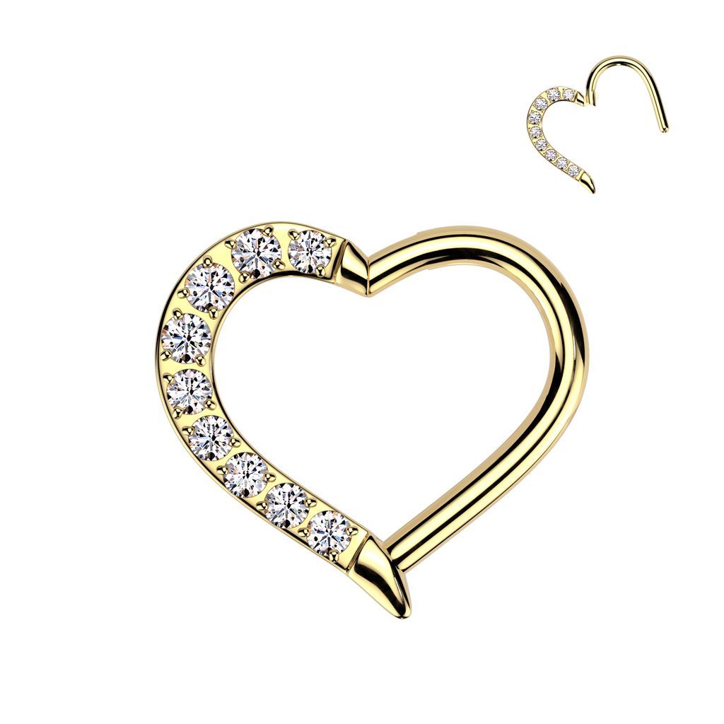 Implant Grade Titanium Hinged CNC CZ Heart Segment Hoop Ring