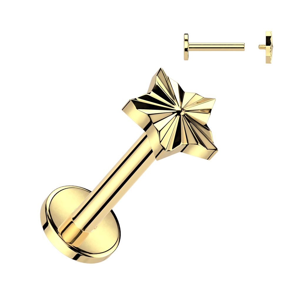 Implant Grade Titanium Internally Threaded Labret With Diamond Cut Star Top