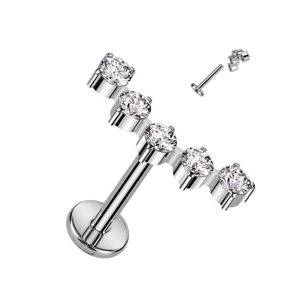 Implant Grade Titanium Internally Threaded With 5 Round CZ Curved Top