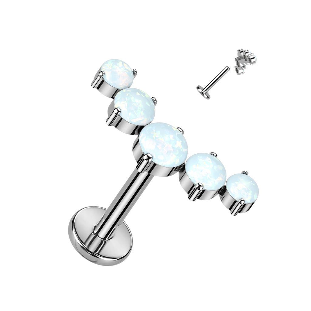 Implant Grade Titanium Internally Threaded With 5 Round Opal Curved Top