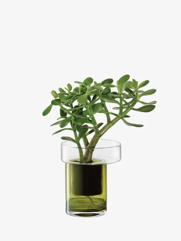 LSA - Self Watering Planter