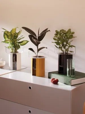 Planters