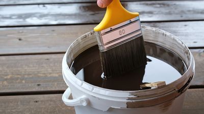 STUCCHI PENNELLI E VERNICI