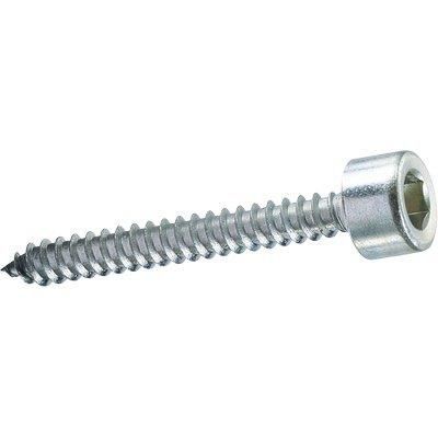 VITE AUTOFILETTANTE TCCE AMBROVIT VITE AUTOFILETTANTE TCCE AMBROVIT