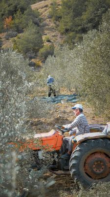 VITICOLTURA E OLIVICOLTURA