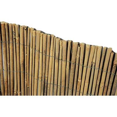 ARELLA STUOIA BAMBOO MEDIA STARS ARELLA STUOIA BAMBOO MEDIA STARS