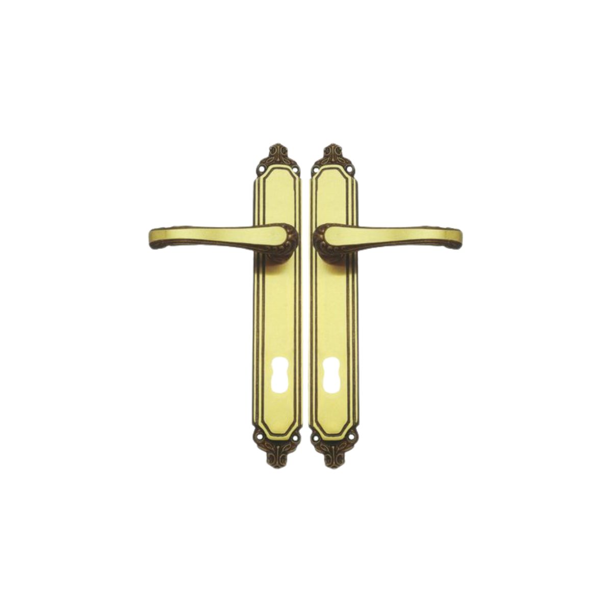 MANIGLIA EXPORT PLACCA FORO PATENT IN CONF DA 2 PZ