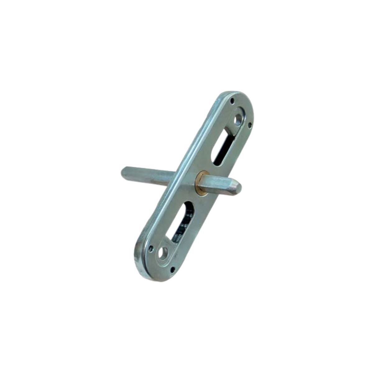 MOVIMENTO GRATZ FORI E QUADRO