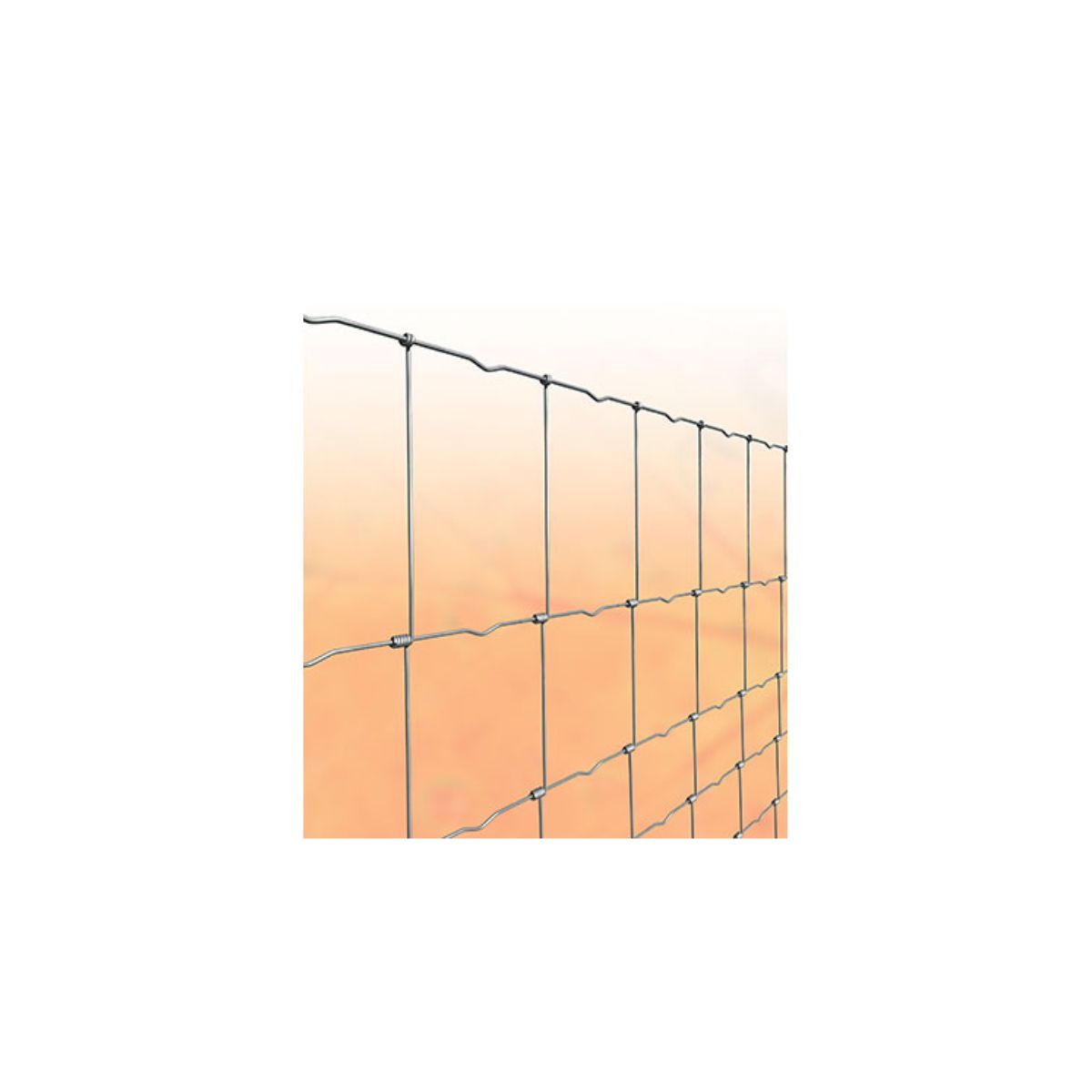 RETE PECORA ANNODATA ZINCATA MARGHERITA CAVATORTA