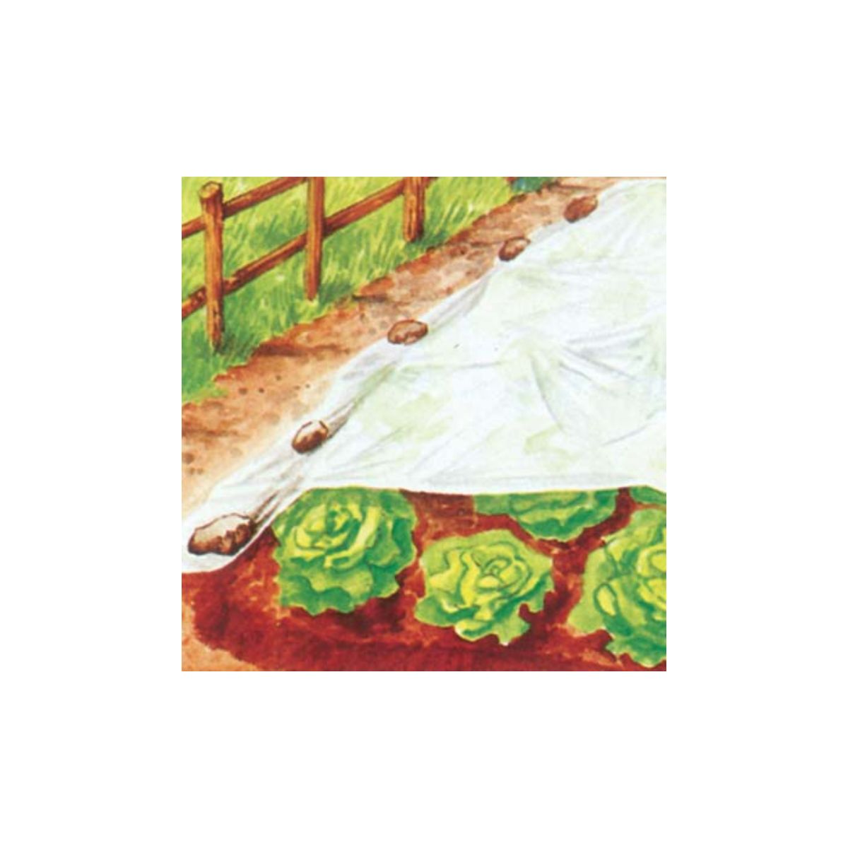 TELO ANTIGELO TNT PESANTE PROTEZIONE PIANTE STARS