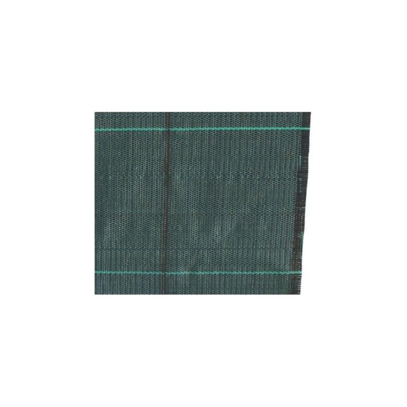 TELO PACCIAMATURA PPL VERDE MINIROLL STARS