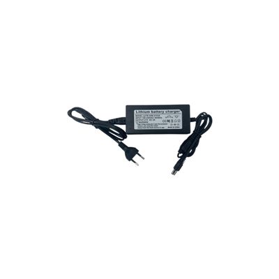 CARICABATTERIA EAGLE PRO FURIA AIMA| VOLT 21 AH 2 CARICABATTERIA EAGLE PRO FURIA AIMA| VOLT 21 AH 2