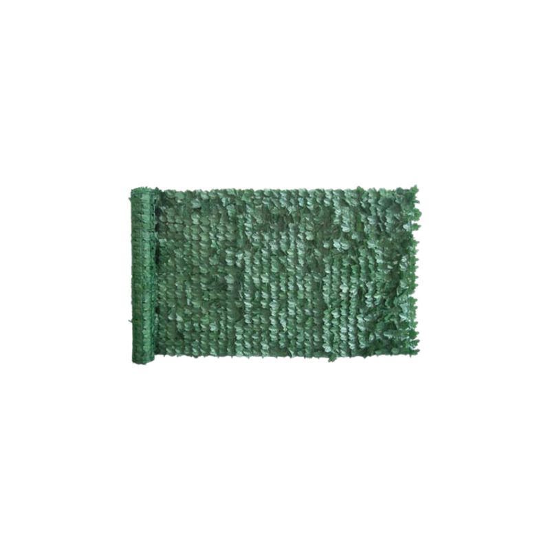 SIEPE SEMPREVERDE EDERA SERIE PLUS SIEPE SEMPREVERDE EDERA SERIE PLUS
