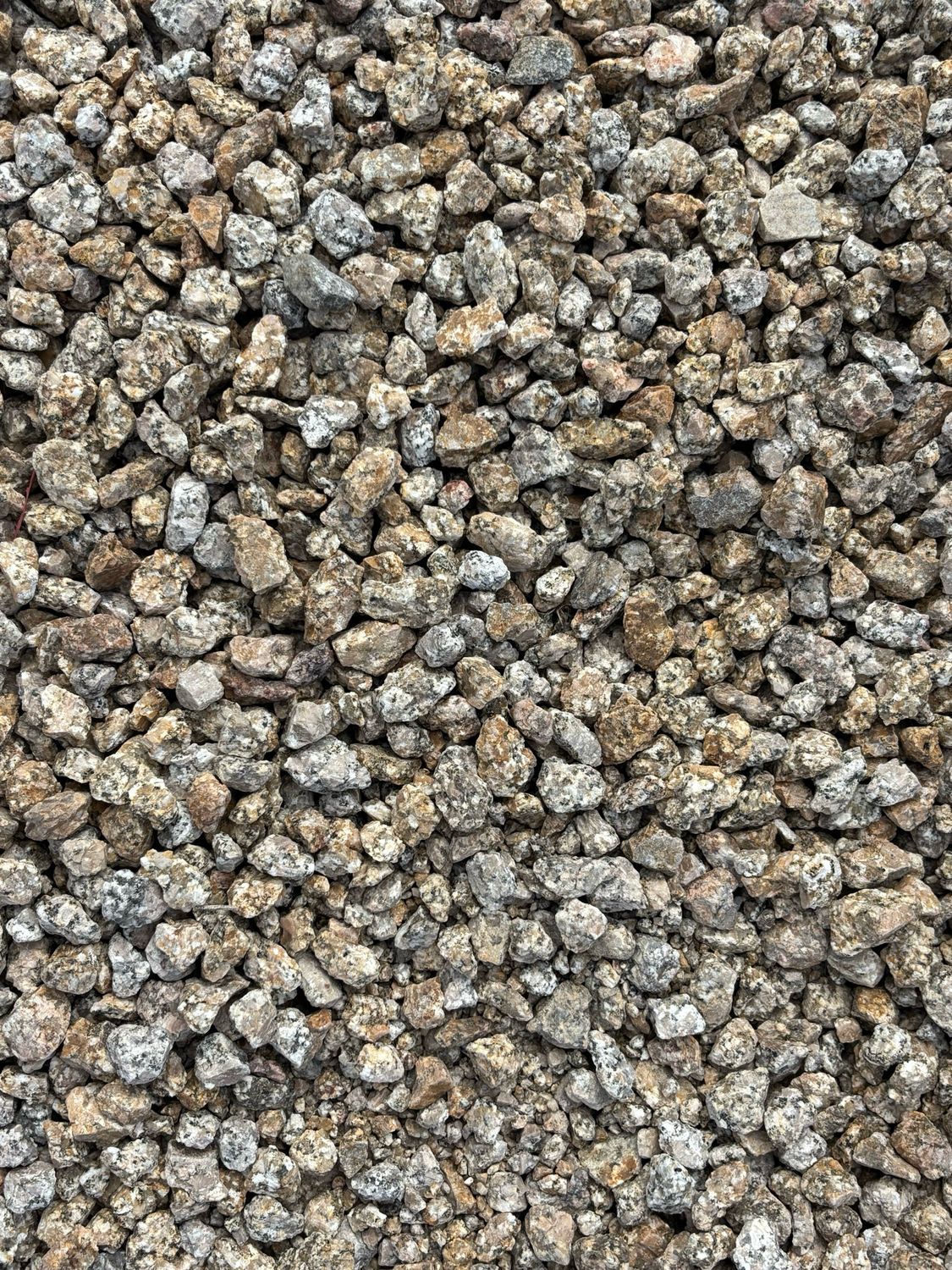 Madison Gold 3/4&quot; Sized