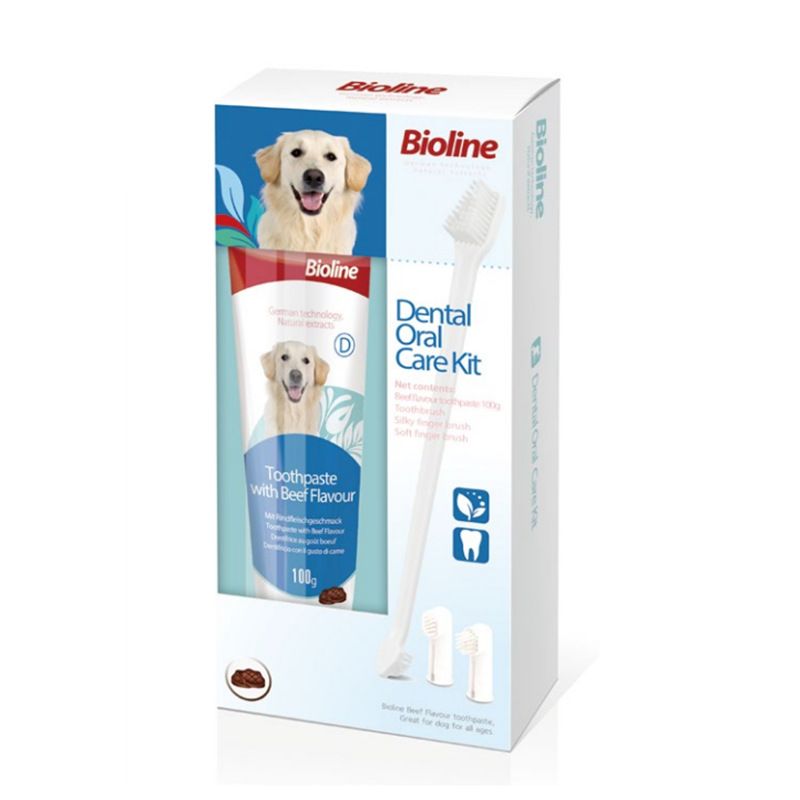 Beef Flavor Clean Organic Pet Dog Toothpaste With Toothbrush