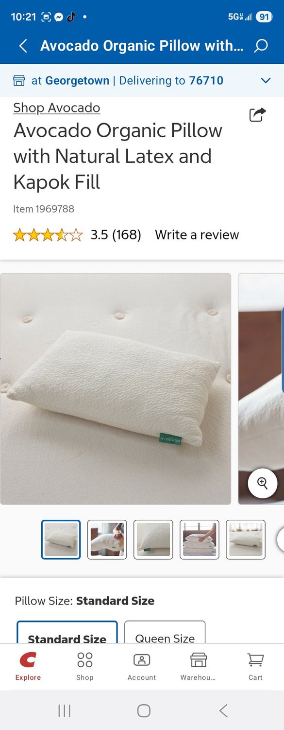 AVOCADO PILLOW BRENTWOOD Retail $60