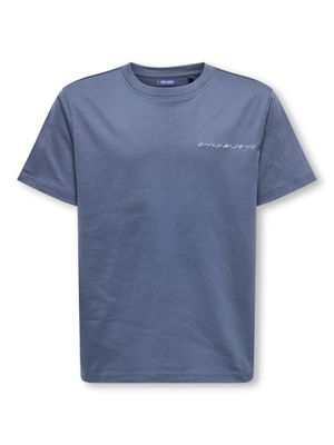 ONLY &amp; SONS JR ASHER LIFE REG TEE