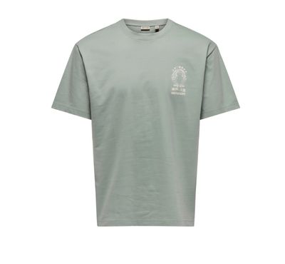 ONLY &amp; SONS CHAMPI TOAD RLX TEE