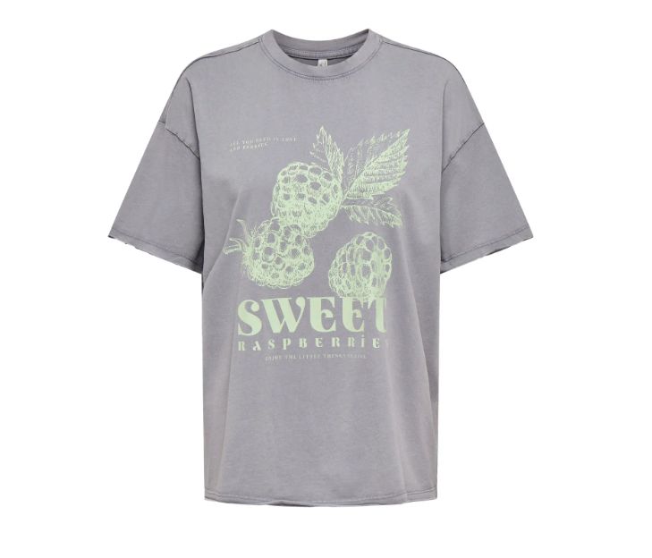 ONLY KINNA LIFE OVERSIZE TEE, Colour: SILVER, Size: XS