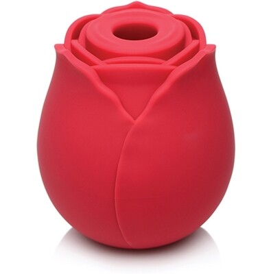 Shop Adult Toys