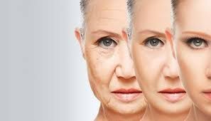 anti-aging and Antioxidant