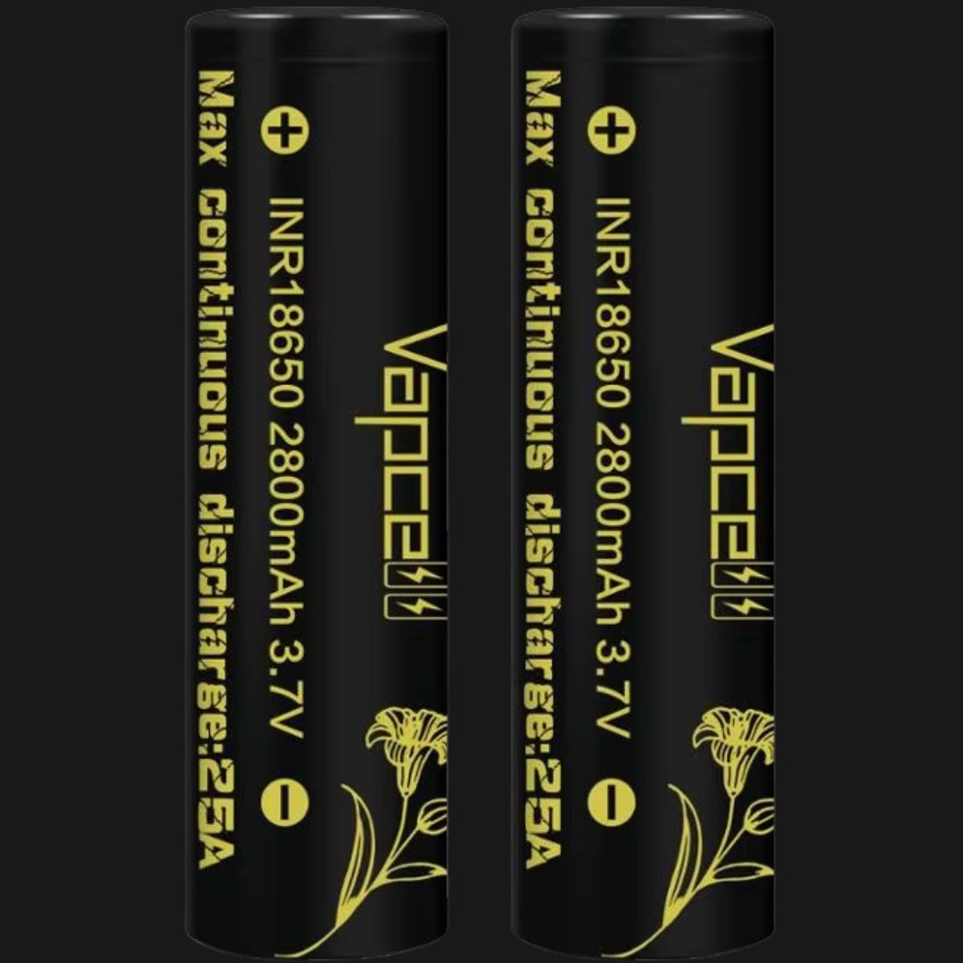 Vapcell 18650 2800mAh 25A with case