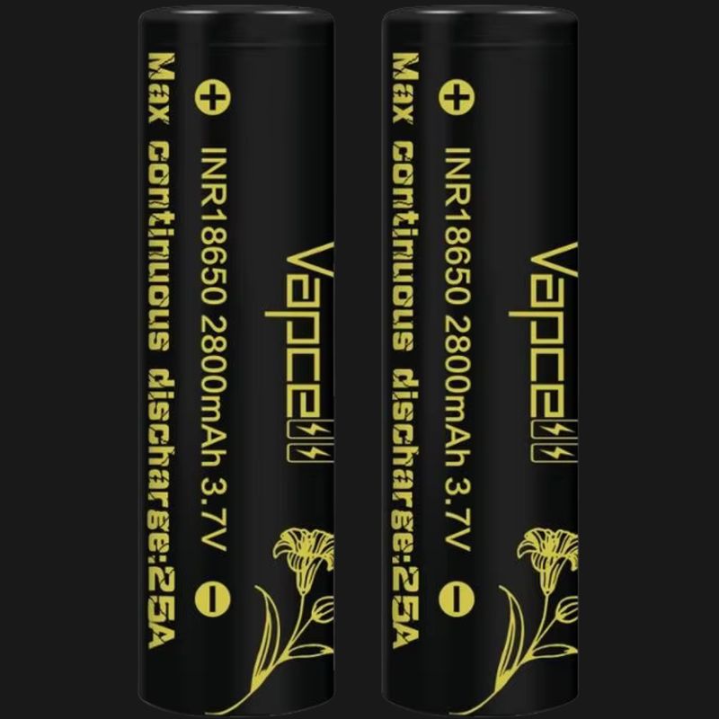 Vapcell 18650 2800mAh 25A with case