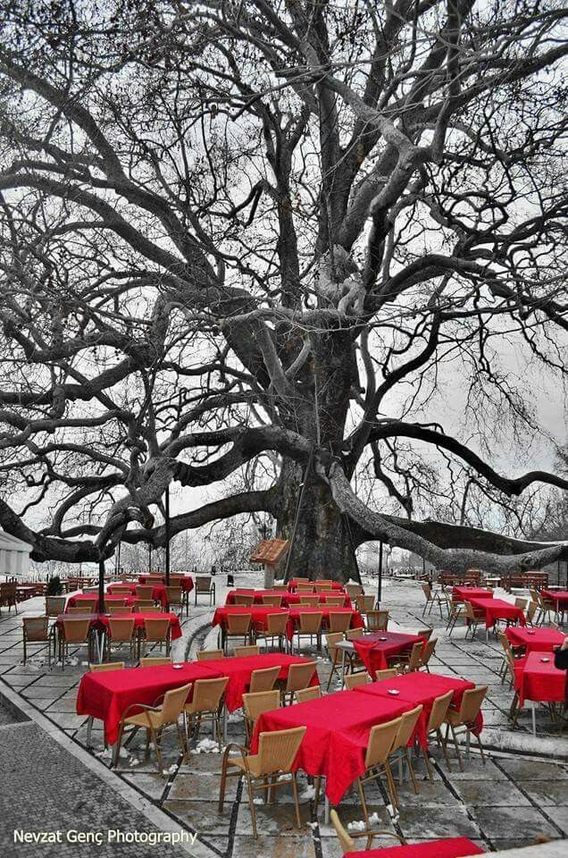 Green Bursa Tour - Silver Package
