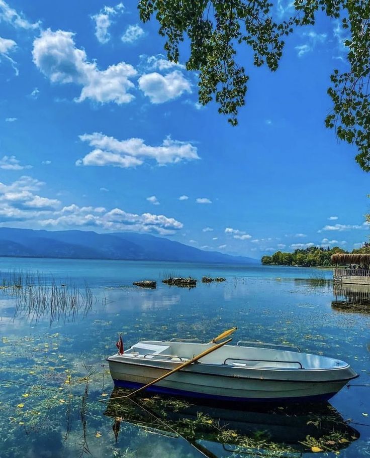 Sapanca &amp; Maşukiye Tour - Silver Package