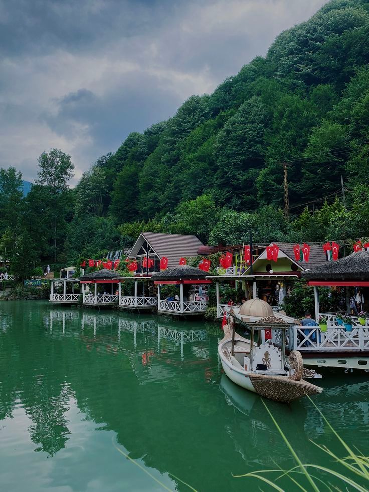 Sapanca &amp; Maşukiye Tour - Gold Package