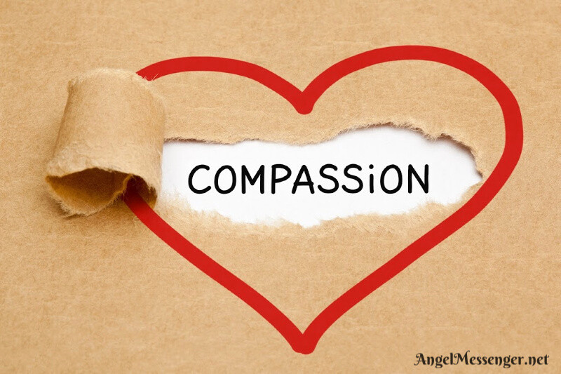 Compassion in Action Giveaway (Enter Giveaway Here)