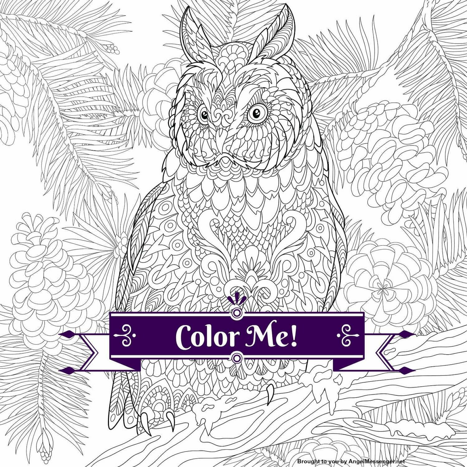 Eagle Owl Coloring Page