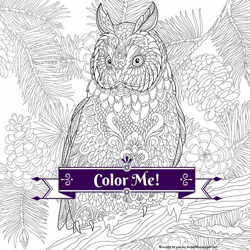 Eagle Owl Coloring Page