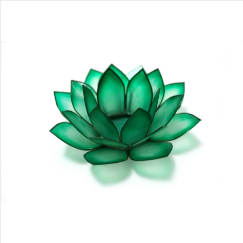 Paradise Lotus TLight Collection