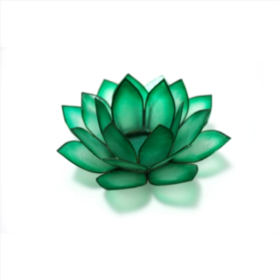 Paradise Lotus TLight Collection