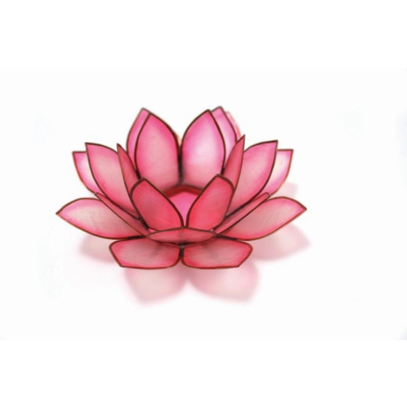 Paradise Lotus TLight Collection (3 Colors Available)