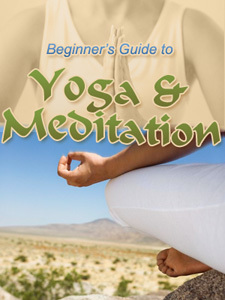 The Beginner's Guide to Yoga & Meditation