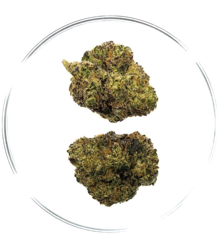 Alabama Boof - THCa Flower 31.8%