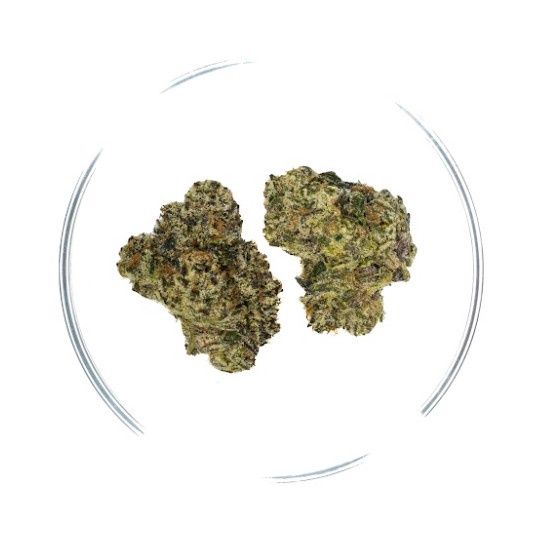 9lb Hammer - THCa Flower 40.93%