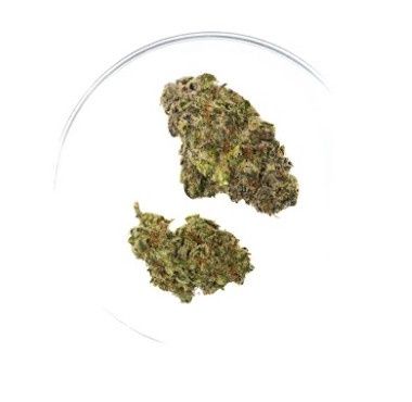 Face Off OG - THCa Flower 37.28%