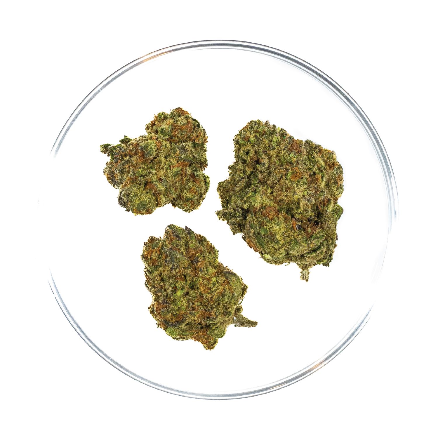 Blicky - THCa Flower 31.07%