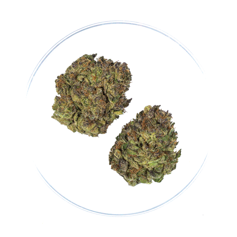 Blue Gummy - THCa Flower 26.69%
