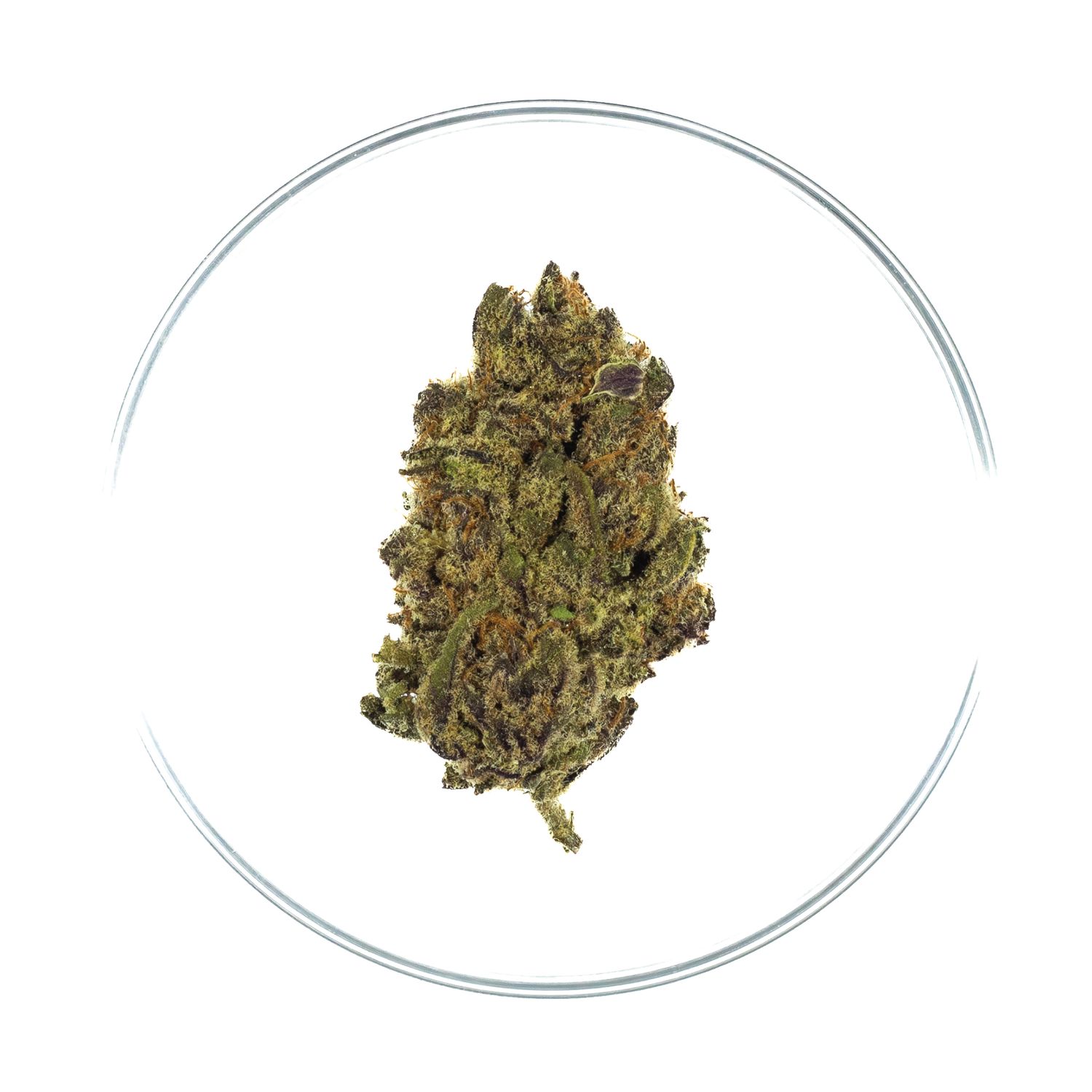Cherry Cake - THCa Flower 36.1%