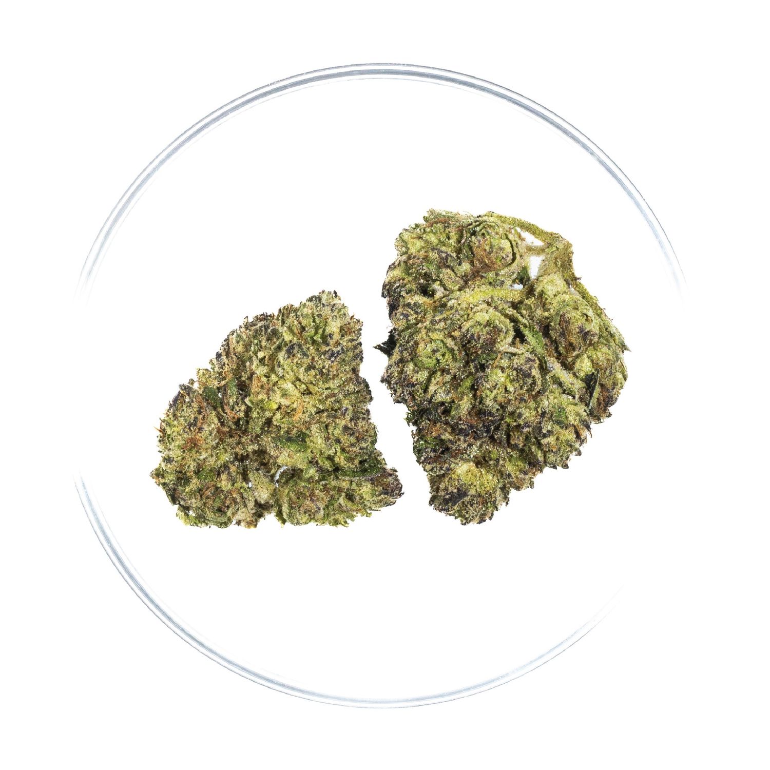 Krystal Kush #2 - THCa Flower 26.59%