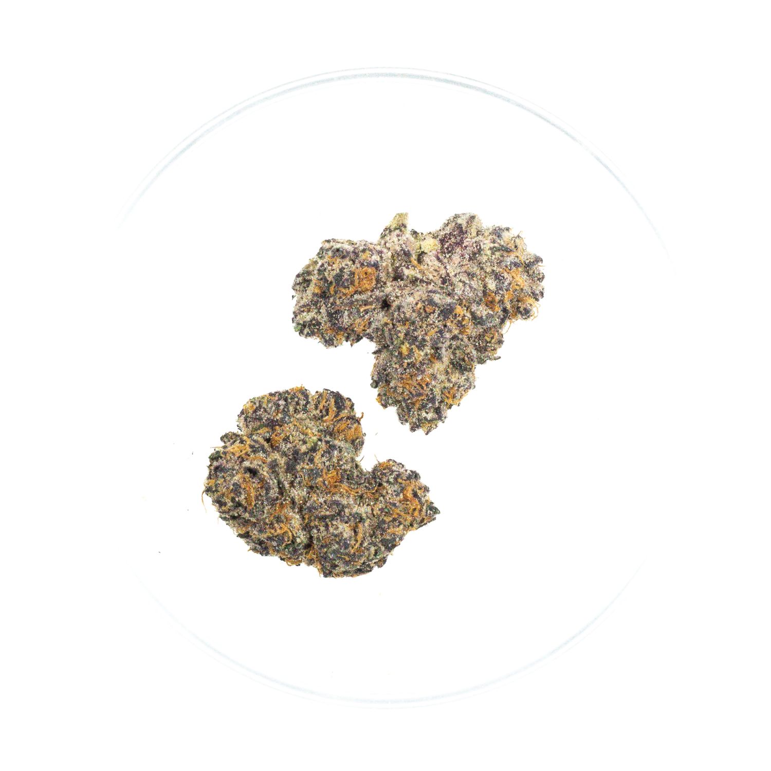 Granddaddy Purple THCa Flower - 33.25%