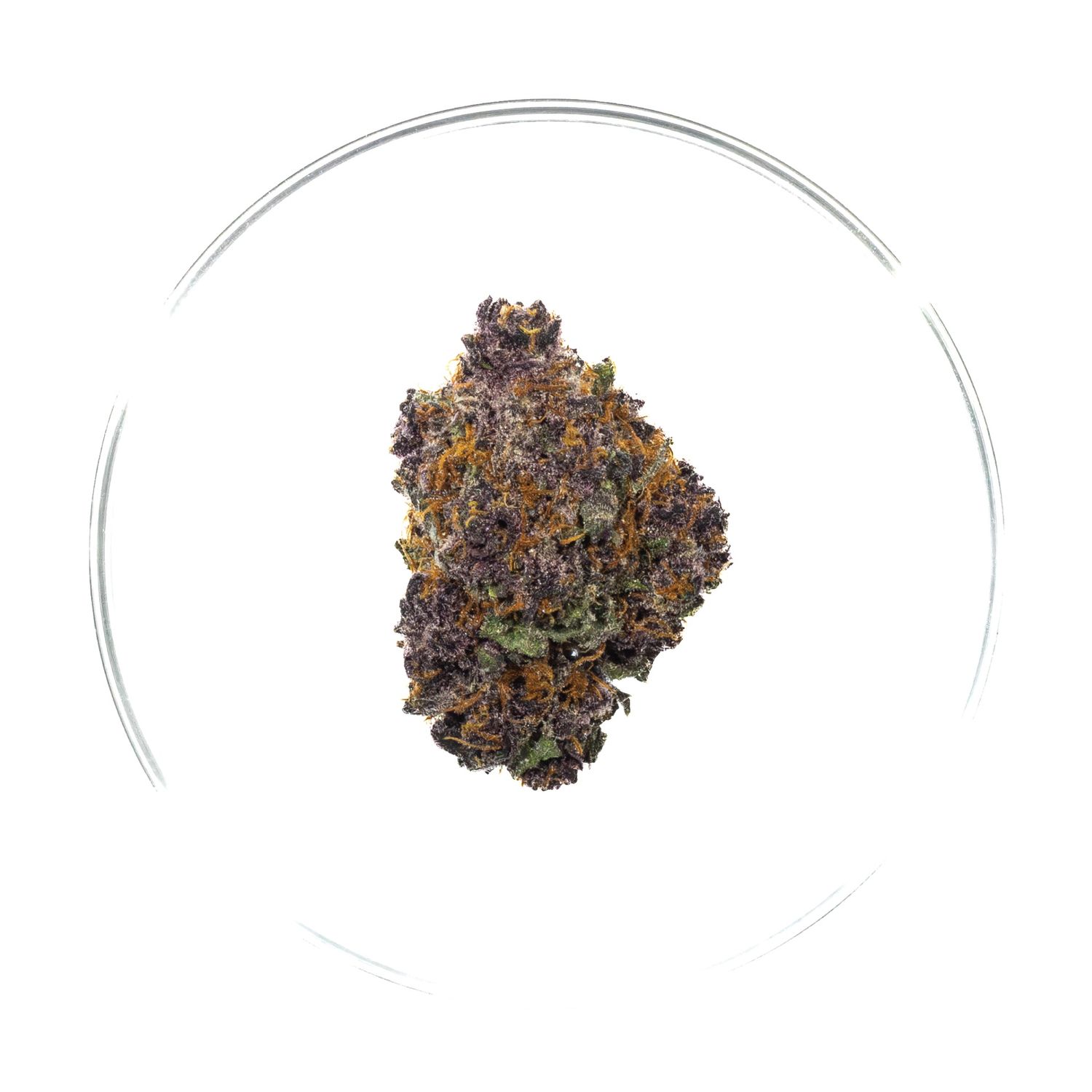 Lucid Dream - THCa Flower 32.3%